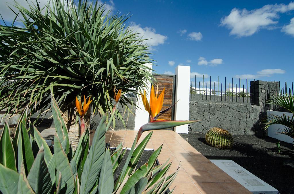 פלאיה בלנקה Villa Valeria מראה חיצוני תמונה